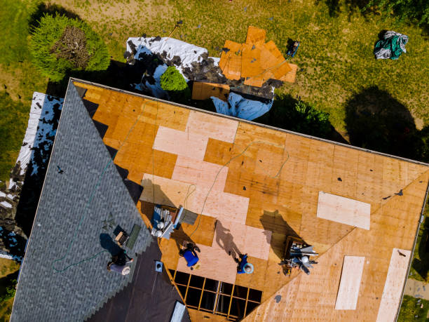 Best Commercial Roofing Services  in Hornsby Bend, TX