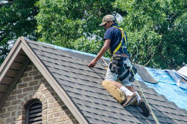 Quick and Trustworthy Emergency Roof Repair Services in Hornsby Bend, TX